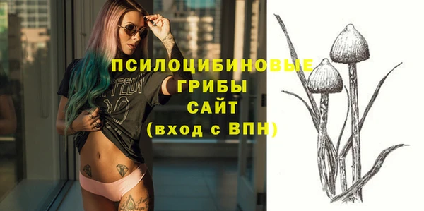 ALPHA PVP Арсеньев