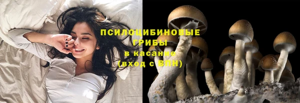 дживик Аркадак
