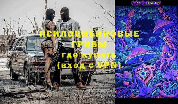 дживик Аркадак