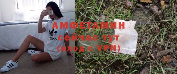 ПСИЛОЦИБИНОВЫЕ ГРИБЫ Алзамай