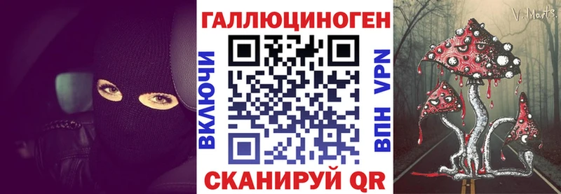 закладки  Сокол  Галлюциногенные грибы мухоморы 