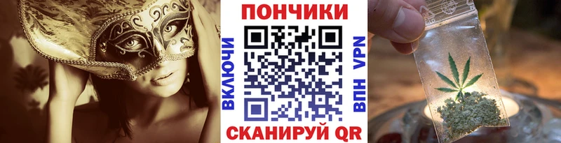 где купить наркоту  hydra как войти  Канабис ГИДРОПОН  Сокол 